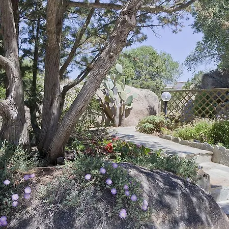 Villetta Il Mirto Holiday home Porto Cervo
